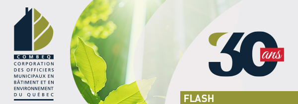 image entête infolettre